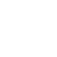 Paid ads while organic climbs — Google Ads visual